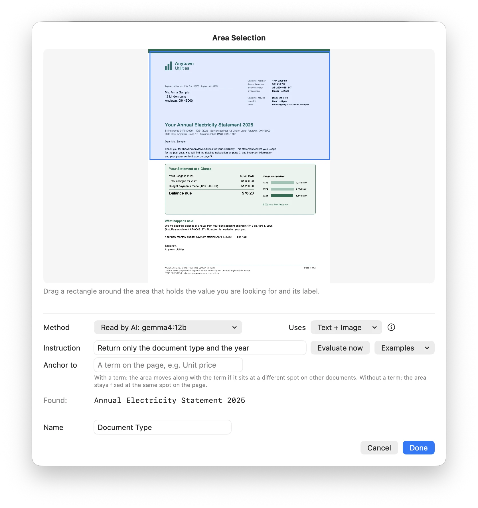 Area Selection with the Instruction Return only the document type and the year, Found Annual Electricity Statement 2025, and the name Document Type